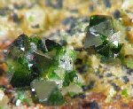 Click Here for Larger Libethenite Image