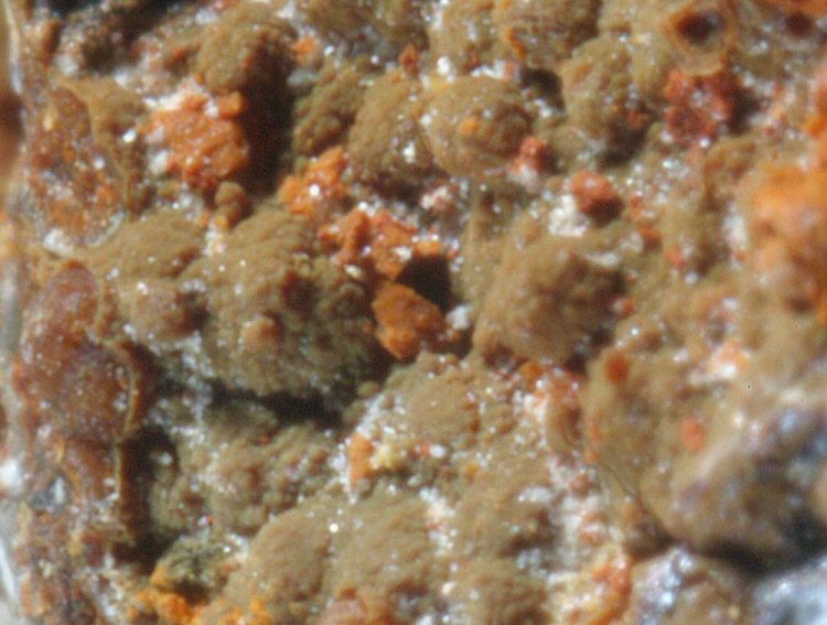 Large Alumopharmacosiderite Image
