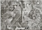 Click Here for Larger Ansermetite Image