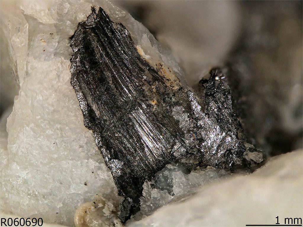 Large Aschamalmite Image