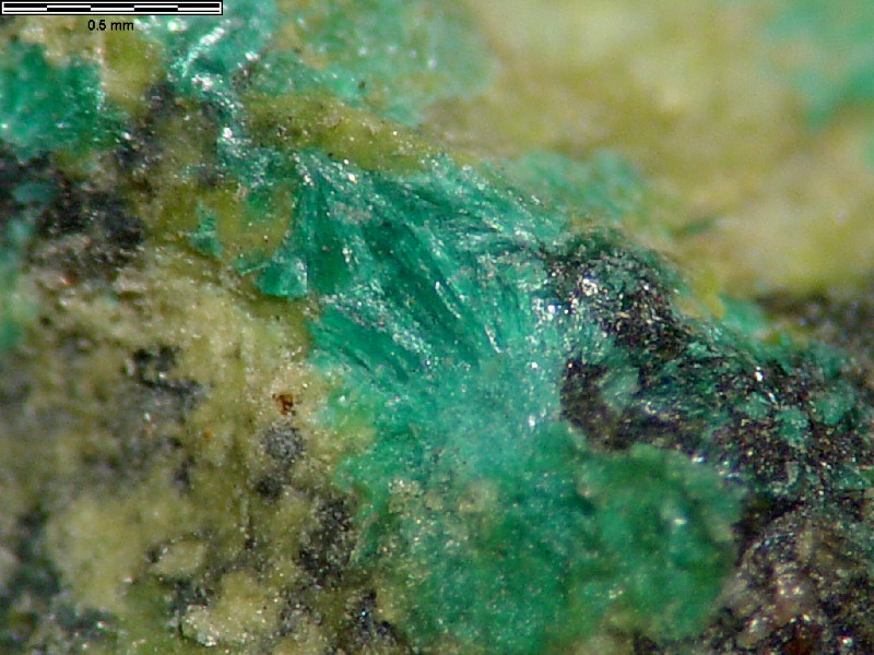 Large Astrocyanite-(Ce) Image