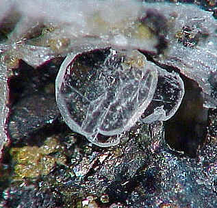 Large Barysilite Image