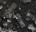 Click Here for Larger Caracolite Image
