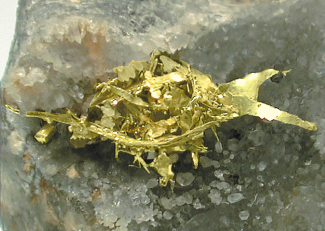 Large Gold Image