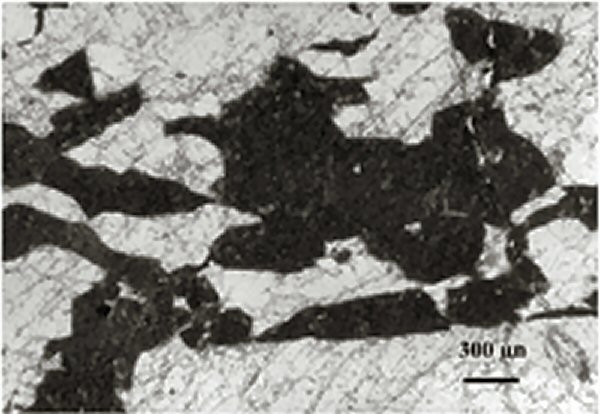 Large Ferrorosemaryite Image