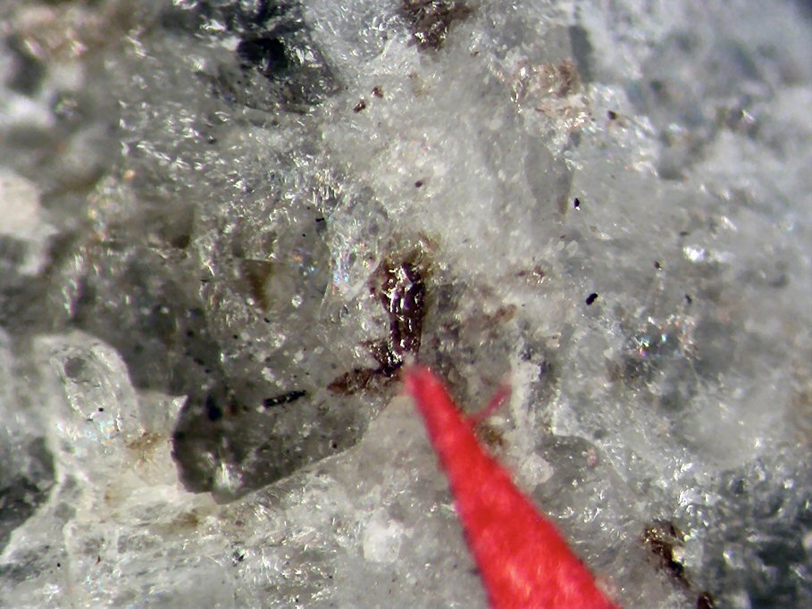 Large Fluorcalciobritholite Image