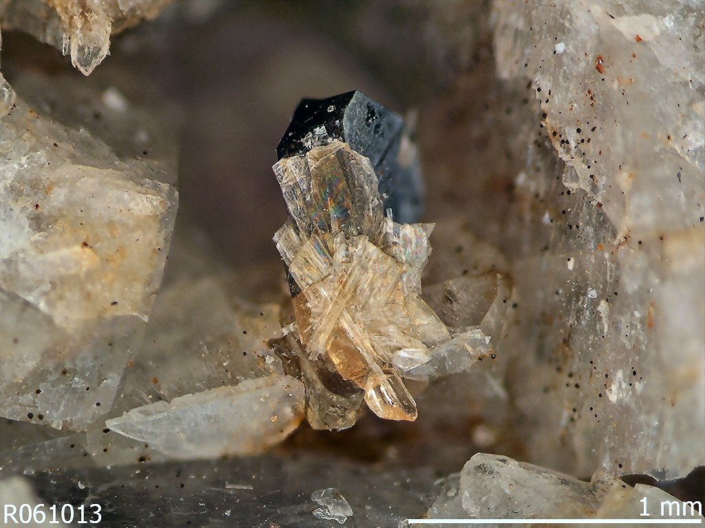 Large Hellandite-(Ce) Image