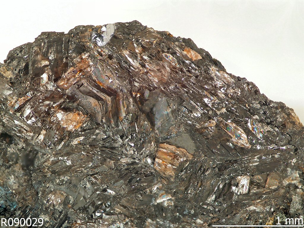 Large Holdawayite Image