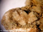 Click Here for Larger Horvathite-(Y) Image