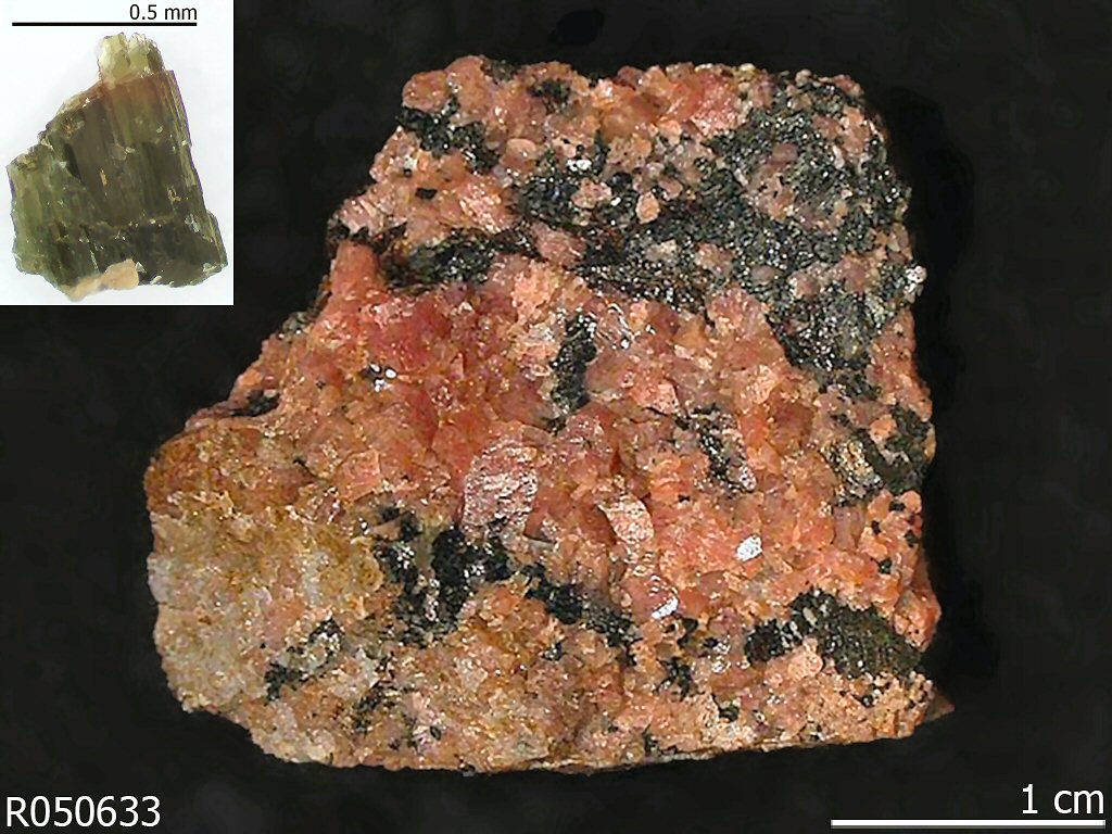 Large Katophorite Image