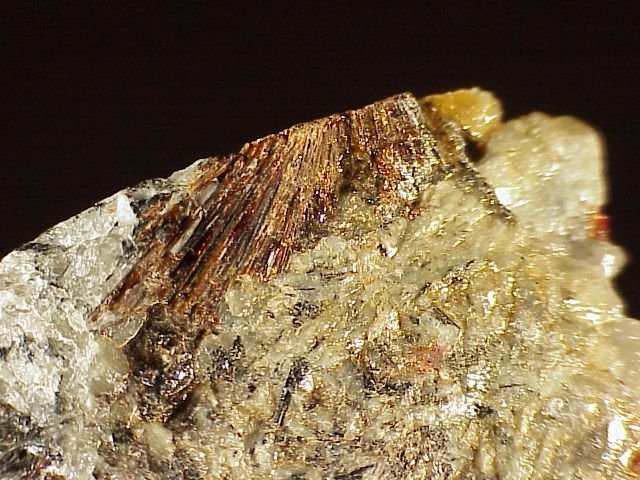 Large Lamprophyllite Image