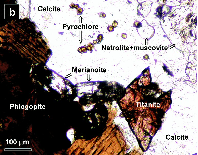 Large Marianoite Image