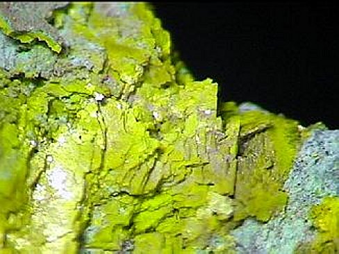 Large Marthozite Image