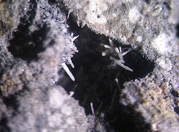 Large Microsommite Image