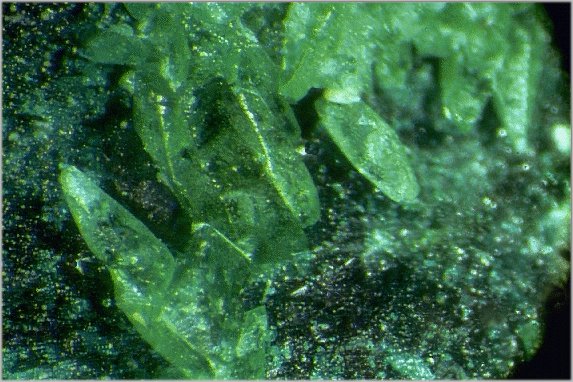 Large Natrochalcite Image
