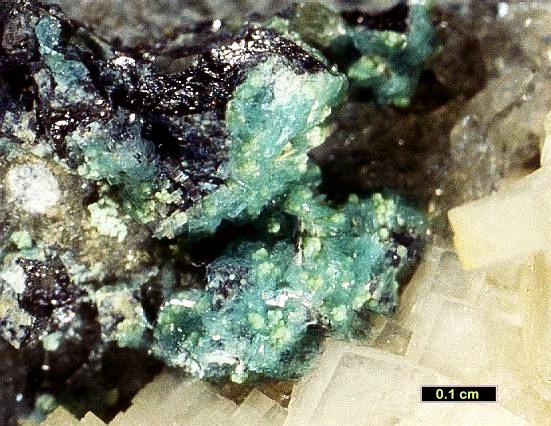 Large Bottinoite Image