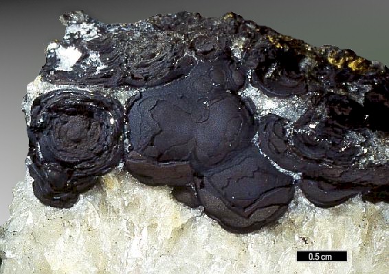 Large Cesarolite Image