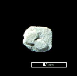Large Kafehydrocyanite Image