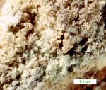 Click Here for Larger Krautite Image