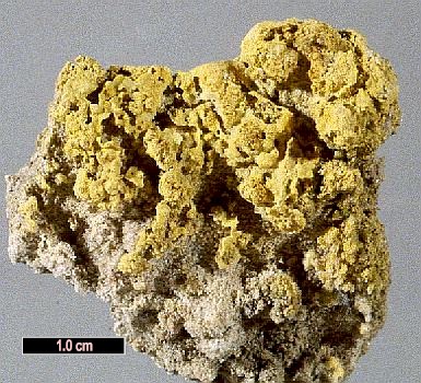 Large Molysite Image