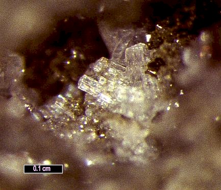 Large Microsommite Image