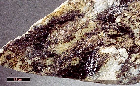 Large Niobophyllite Image