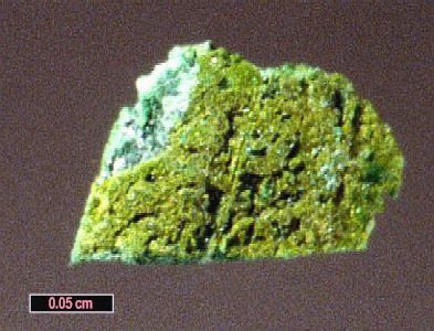 Large Chloromenite Image