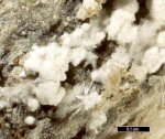 Click Here for Larger Rauenthalite Image