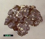 Click Here for Larger Ningyoite Image