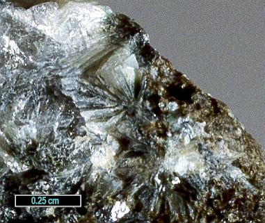 Large Tungusite Image
