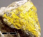 Click Here for Larger Bayleyite Image