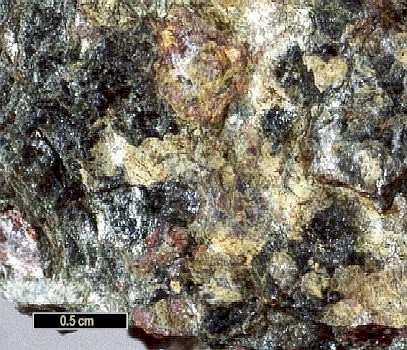 Large Barytolamprophyllite Image