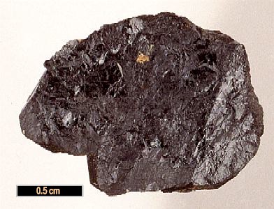 Large Tapiolite Image
