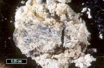 Click Here for Larger Butschliite Image