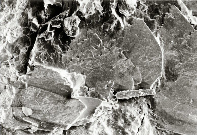 Large Phosphowalpurgite Image