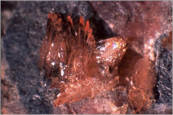 Large Sarkinite Image
