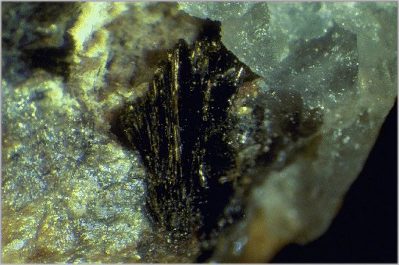 Large Schoonerite Image