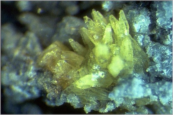 Large Strontiojoaquinite Image
