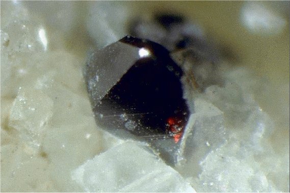 Large Trechmannite Image