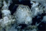 Click Here for Larger Tridymite Image