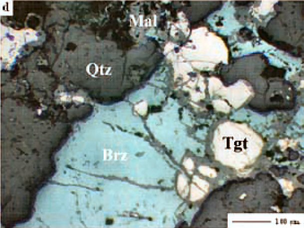 Large Trogtalite Image