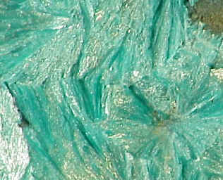 Large Tyrolite Image