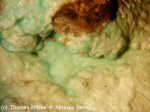 Click Here for Larger Zincowoodwardite Image