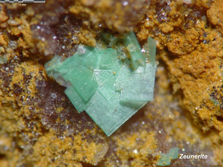 Large Zeunerite Image